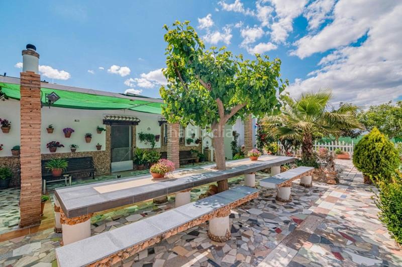 Foto b8825aed-b45d-48db-8dd4-4b54a83c097f. Masía finca rústica con construcción en Pinos Puente