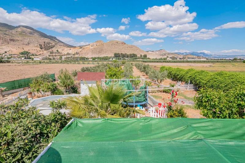 Foto d5bcb2a2-1570-408f-ab83-04d17ba9f351. Masía finca rústica con construcción en Pinos Puente