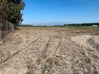 Propriété à Pinos Puente. Finca rústica de regadío en pinos puente