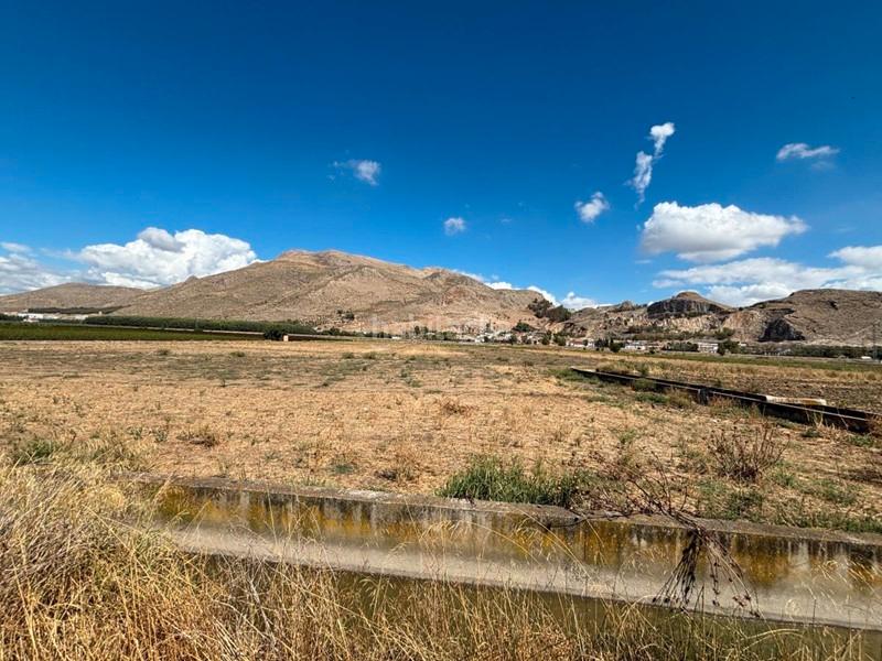 Foto 6f87dd6c-c081-4f36-902d-18c3cbdd8096. Propriété dans Atarfe