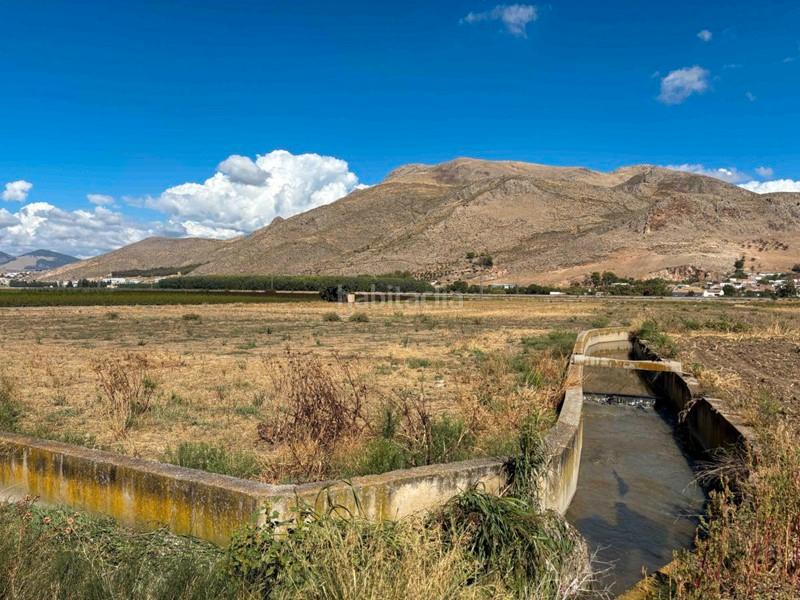 Foto ab8cd074-9886-4a79-8d77-a59625aa6ace. Propriété dans Atarfe