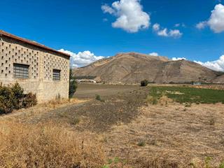 Finca rústica en Pinos Puente. Finca rústica de regadío en pinos puente