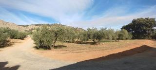 Fondo rustico in Albolote. Finca de regadío con plantación de olivos en albolote