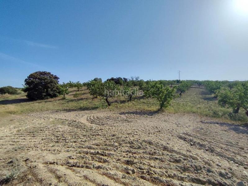 Foto 2ddf12e0-37d1-4751-9aed-9ce64300a63d. Propriété dans Arenas del Rey