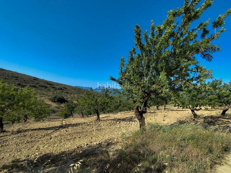 Foto 3477bebf-a09a-4e21-8e36-34d97c59320f. Propriété dans Arenas del Rey