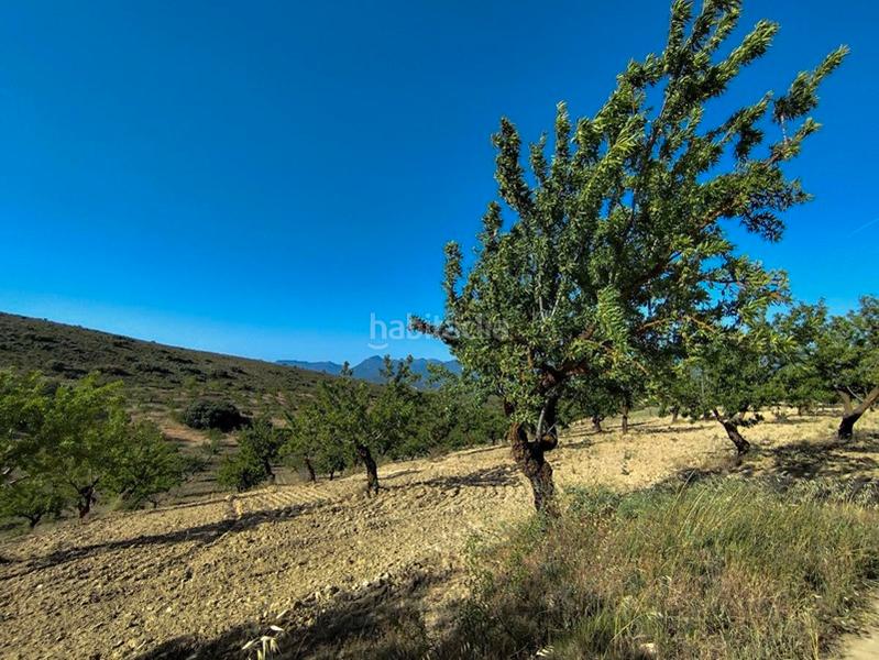 Foto 3a648b23-2661-426f-a57f-3ff063b95b1e. Propriété dans Arenas del Rey