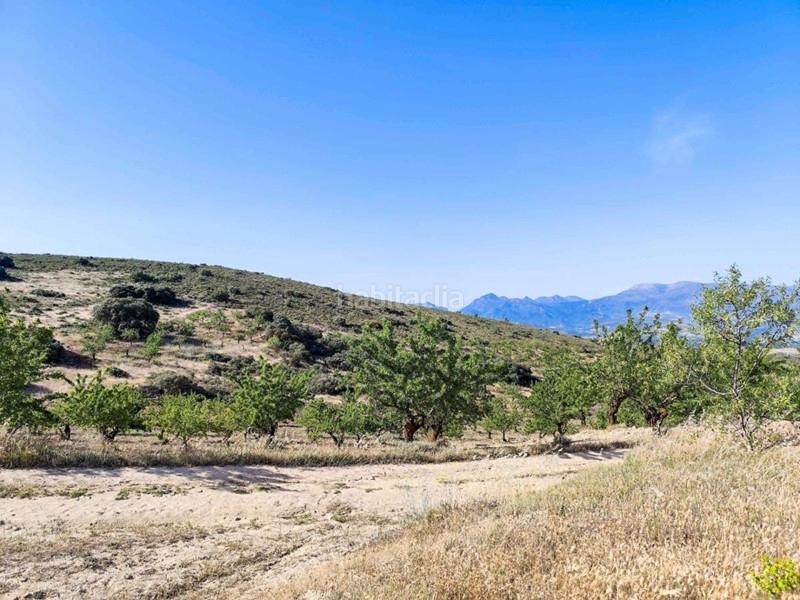 Foto 41d5e109-f785-484e-b32a-34d869b26498. Propriété dans Arenas del Rey