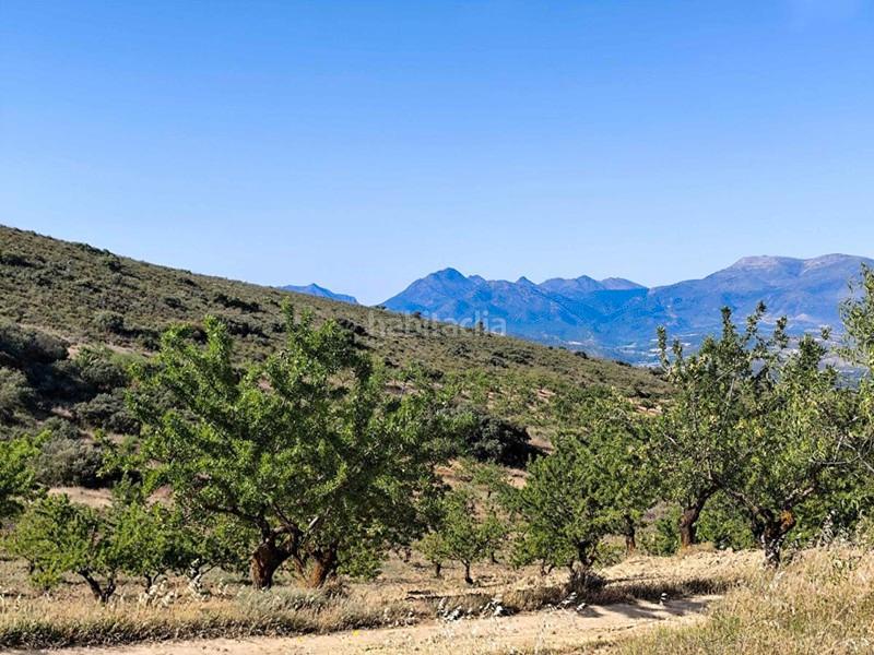 Foto 4d06959c-34f0-4a20-8052-06aa4cbdee29. Propriété dans Arenas del Rey