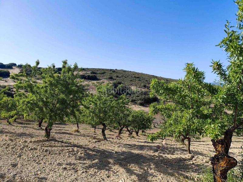 Foto 861cd969-0447-442a-8d41-6029854ba5d9. Propriété dans Arenas del Rey