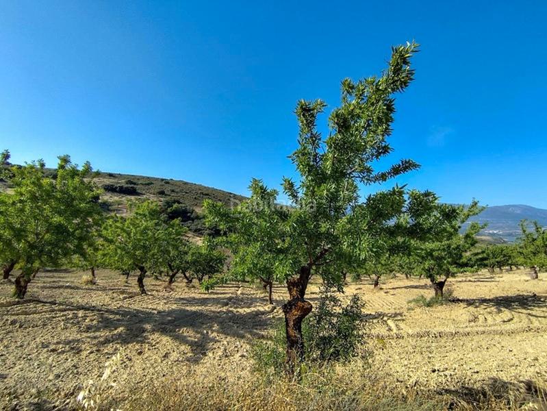 Foto 893824d8-beaa-4771-938b-5ffa51f4ff94. Propriété dans Arenas del Rey