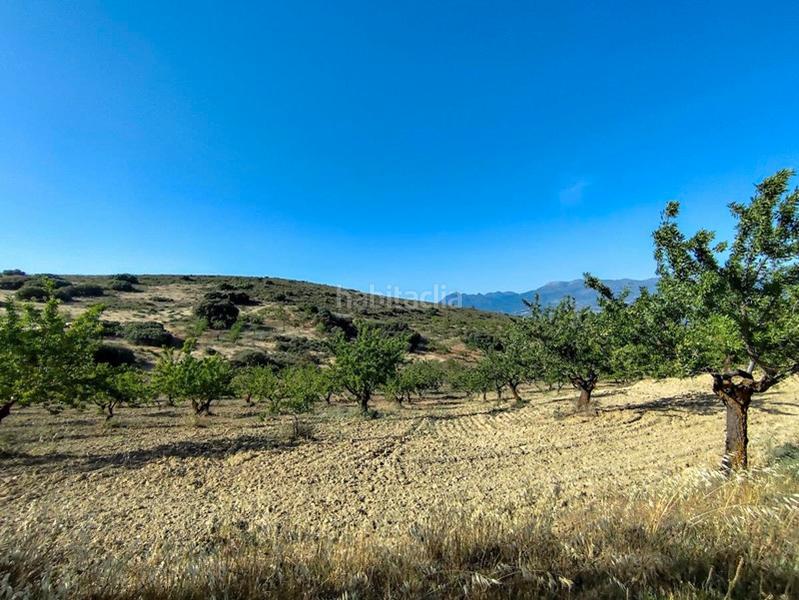 Foto be3cd6c6-3f71-4aeb-a578-a1ff35cf266a. Propriété dans Arenas del Rey