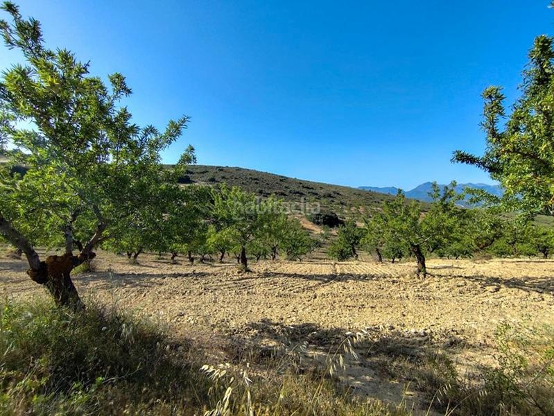 Foto ccaf59f2-c882-4222-8f09-54558fa3db62. Propriété dans Arenas del Rey