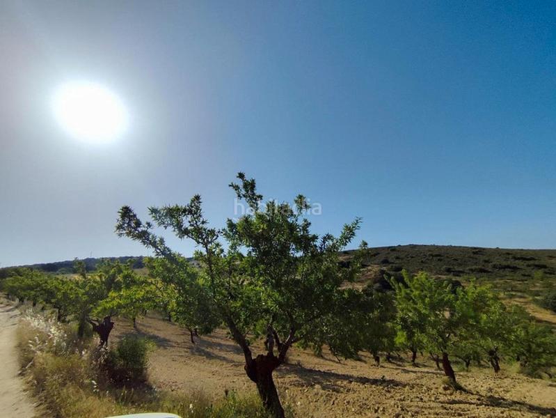 Foto ce833852-c4d3-441c-be62-c4520607c9bf. Propriété dans Arenas del Rey