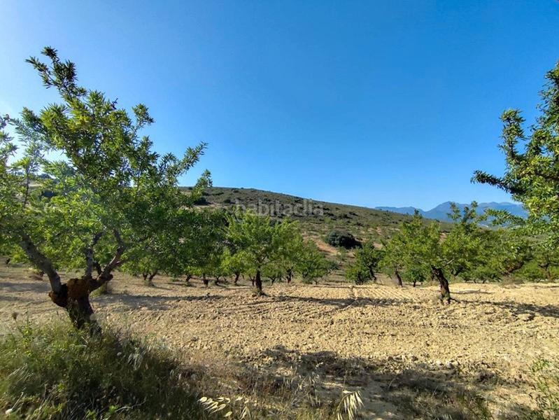 Foto e9874af5-b9d8-4bc6-8027-cf029509ed76. Propriété dans Arenas del Rey