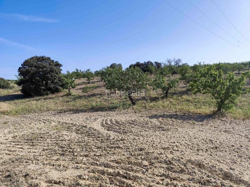 Foto ebc73858-62fb-403a-b5f7-29ec1509264d. Propriété dans Arenas del Rey