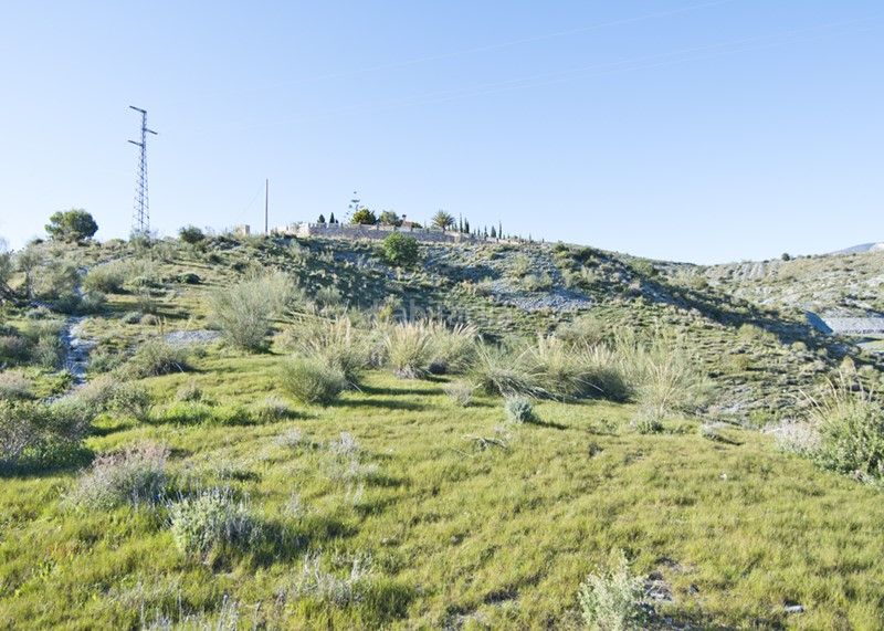 Foto 41caeb55-b23a-4e9d-a6bb-e1dc44d0a01e. Finca rústica a Los Tablones - La Garnatilla Motril