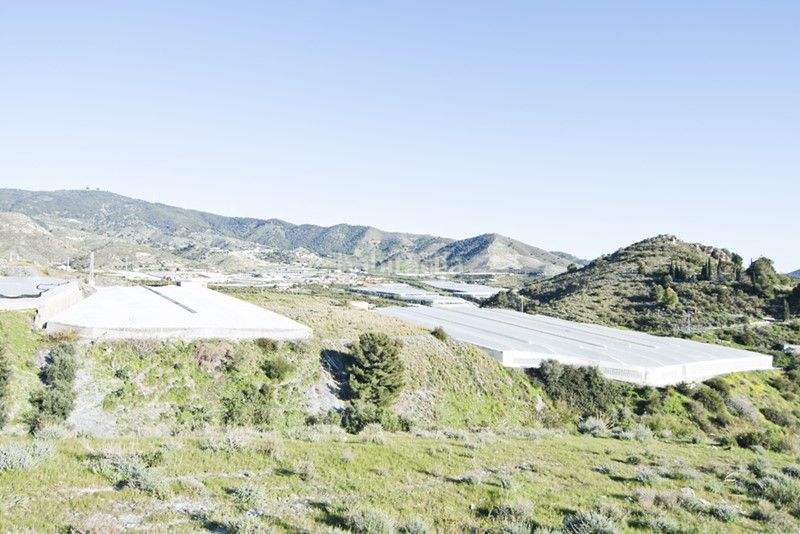 Foto e85fa712-4492-4514-8818-7234f9ab8ceb. Finca rústica a Los Tablones - La Garnatilla Motril