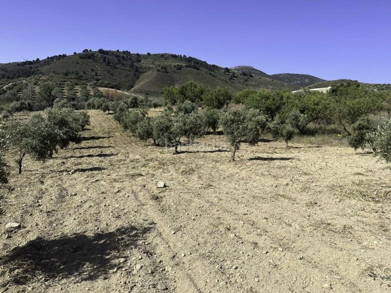 Foto 6d69cbec-145d-49ae-ac83-d25303832481. Finca rústica a Padul