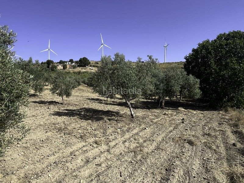Foto 9f76cf78-1929-4554-98e7-6ea278219952. Finca rústica a Padul