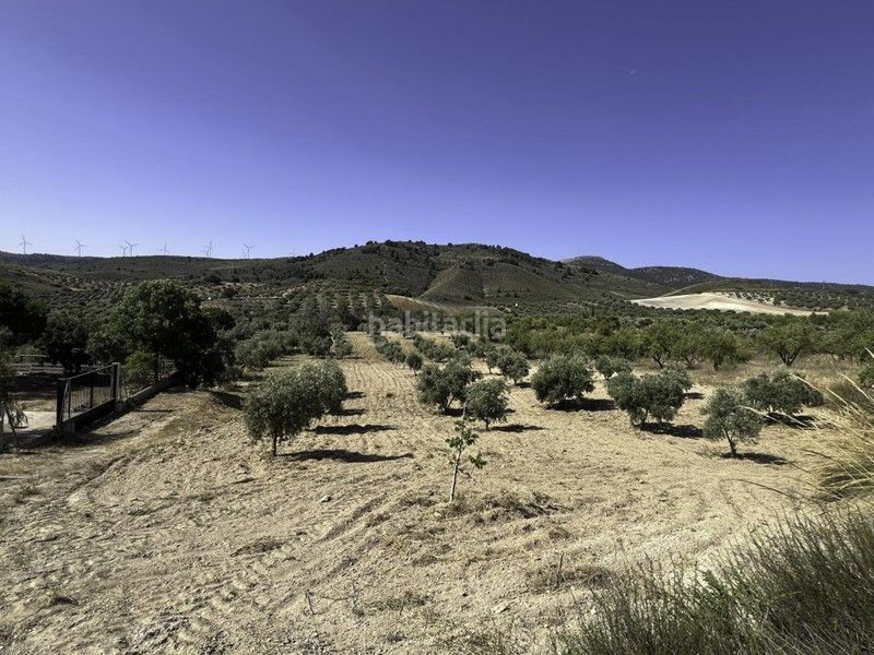 Foto ae2d1cc6-88f4-4452-9c59-8b072c0efe56. Finca rústica a Padul
