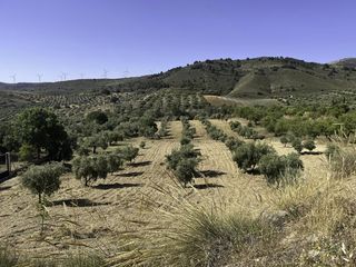 Finca rústica a Padul