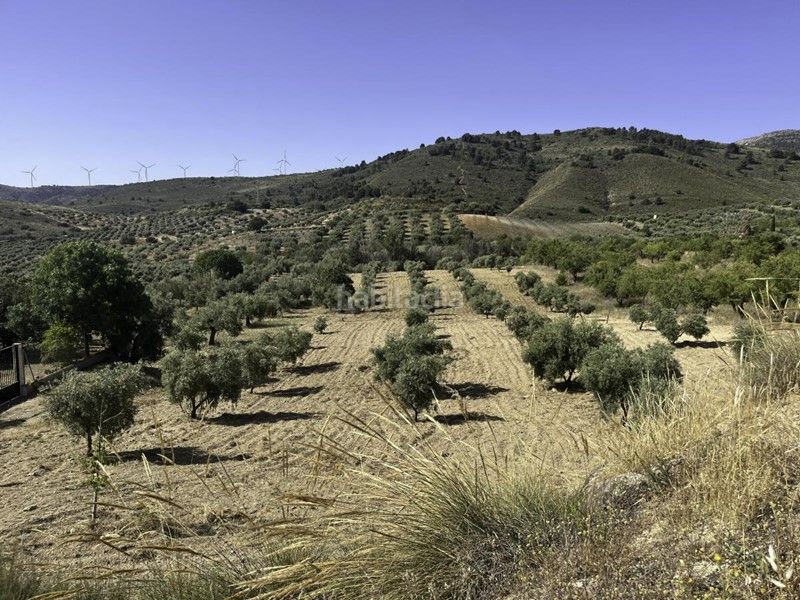 Foto b0ec7732-7031-4ce3-b154-21169f69fc83. Finca rústica a Padul