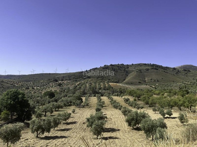 Foto b980be2f-8209-466c-8556-eb4c8a757bd6. Finca rústica a Padul