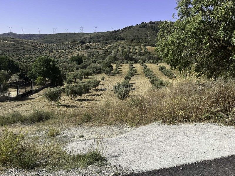 Foto c8f0b8cb-ca04-463b-9060-c41d47dc6f79. Finca rústica a Padul