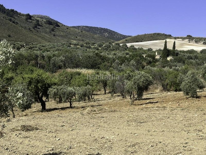 Foto d7aefbde-e651-4303-be97-9ca36a878f5a. Finca rústica a Padul