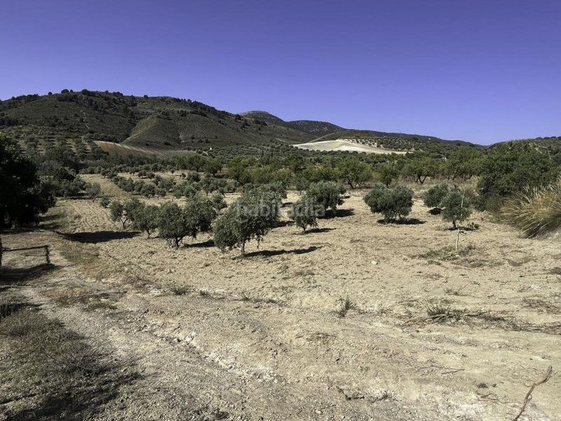 Foto da7cac70-34dd-4cd3-aeb1-e177b6e1c43d. Finca rústica a Padul