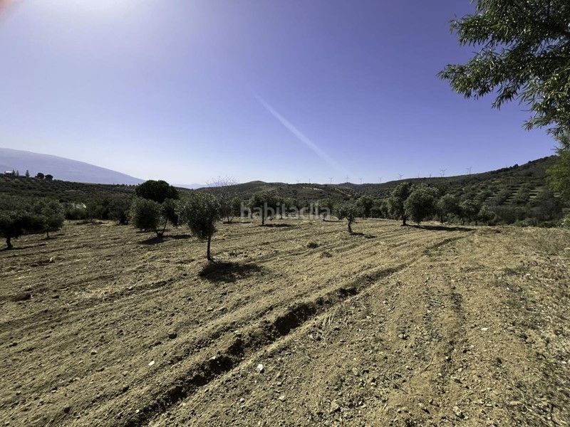 Foto e87ef572-6f80-453a-baf4-a3742f4b5fc1. Finca rústica a Padul