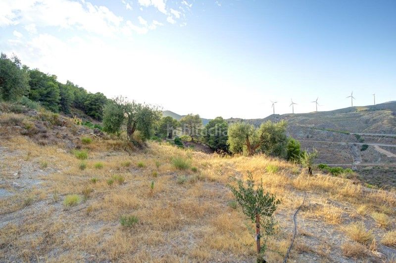 Foto 01fe62b9-0d8c-43b5-a08a-3b2f0bd05c4c. Finca rústica a Pinar (El)