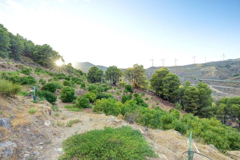 Foto 769b4c17-f391-46a3-abbd-bed19d274e83. Finca rústica a Pinar (El)
