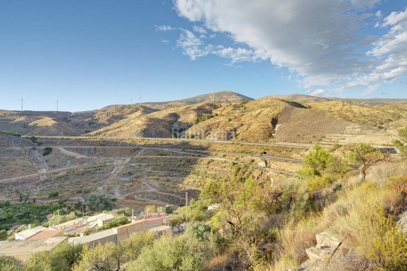Foto a0cc6e7c-4a33-4e80-92d5-5fb7e281a7a9. Finca rústica a Pinar (El)