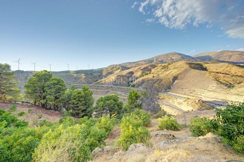 Foto a4bd36b8-8791-4f53-9e2d-b011571e5b9d. Finca rústica a Pinar (El)