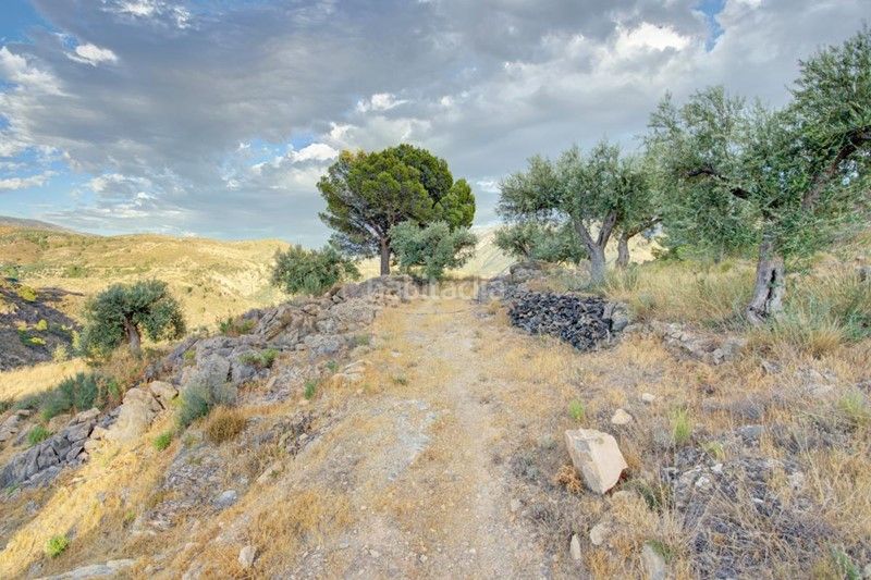 Foto f92e2ce8-c9a8-4070-8f4a-687be5a09319. Finca rústica a Pinar (El)