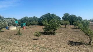 Residential Plot in Las Lagunas - Campano. Parcela en callejon borreguitos