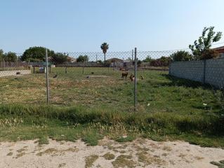 Finca rústica a Calle cañada del verdugo 6. Se vende parcela en cañada del  verdugo - pago winthuyseen