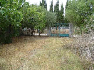 Finca rústica a N/a. Se vende parcela en pago barranco