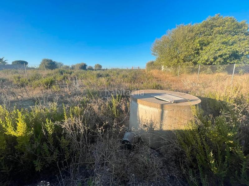 Foto 9afdbef1-dafa-4662-8a24-3c63e443f971. Finca rústica en los perales 16 se vende parcela con pozo en Puerto de Santa María (El)