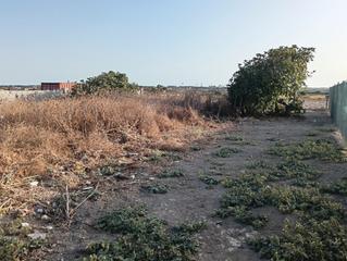 Finca rústica en Asociacion de vecinos imbrusqueta 4. Se vende parcela en imbrusqueta