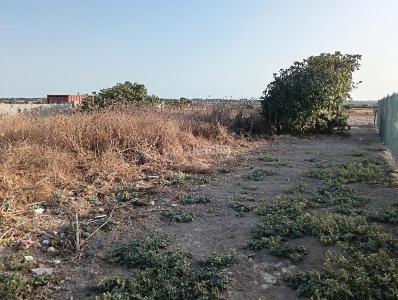 Foto 1a81b0d9-84a0-4a38-8e4e-eda7dcd8380d. Finca rústica a asociacion de vecinos imbrusqueta 4 a Puerto de Santa María (El)