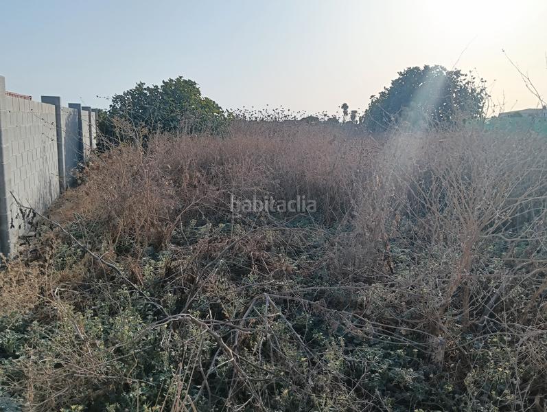 Foto 732f0487-894a-4adf-bff2-76b05ad90136. Finca rústica a asociacion de vecinos imbrusqueta 4 a Puerto de Santa María (El)