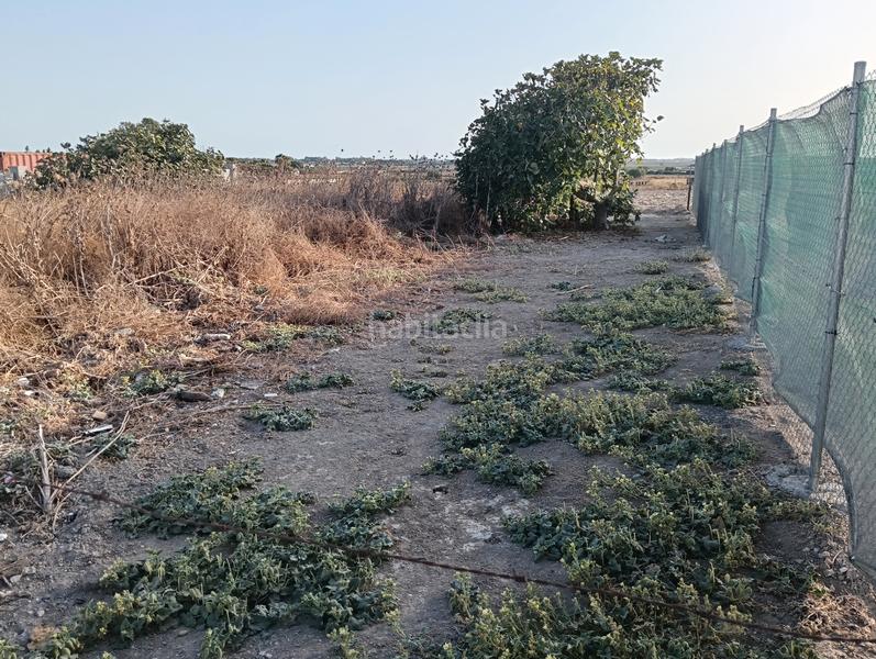 Foto 984dcc8e-b1a1-4160-98fd-49c0bc50fff2. Finca rústica a asociacion de vecinos imbrusqueta 4 a Puerto de Santa María (El)