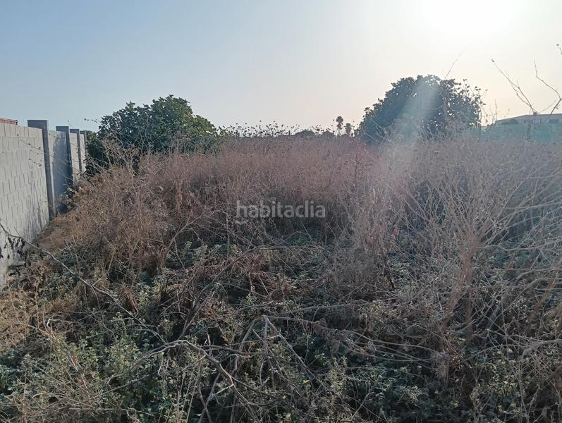 Foto d00d28e9-3041-48c1-aa62-d6bd67fb08a7. Finca rústica a asociacion de vecinos imbrusqueta 4 a Puerto de Santa María (El)