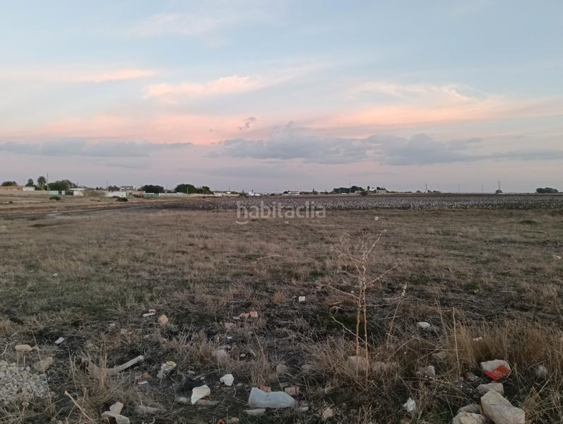 Foto d8a0a418-d0a4-4e9c-9f8b-9177499798e2. Landgut in calle cañada del verdugo 6 in El Juncal - Vallealto Puerto de Santa María (El)