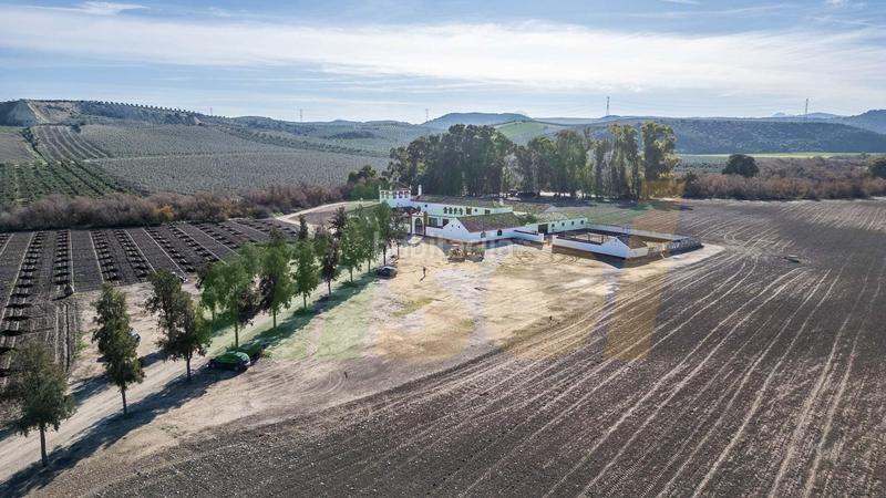 Foto 030256e5-d876-4edb-b31d-21fee8a3a3bd. Casale in polígono pollitos 62 in Puebla de Cazalla (La)