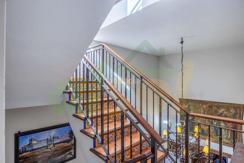 Foto 119e9cc0-6c80-4f8e-8db7-4738b2a7d01a. Casale in polígono pollitos 62 in Puebla de Cazalla (La)