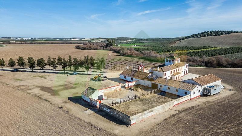 Foto 1c1e80fc-7b83-42bb-b830-64424730d8c4. Casale in polígono pollitos 62 in Puebla de Cazalla (La)