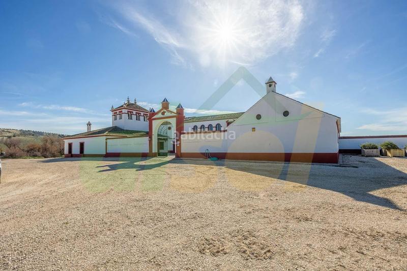 Foto 44e01d80-5b20-47b2-8f1d-2b14de01883d. Casale in polígono pollitos 62 in Puebla de Cazalla (La)